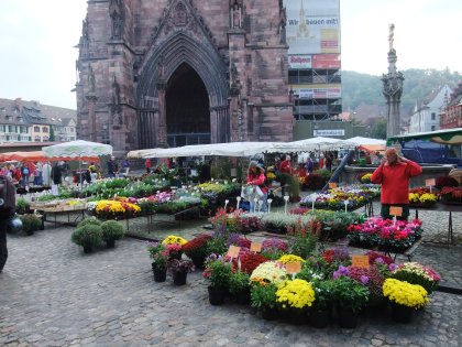 フライブルク大聖堂直下の広場
