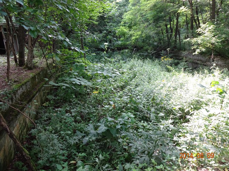 DSC00901 DSC00901