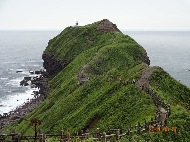 DSC00520