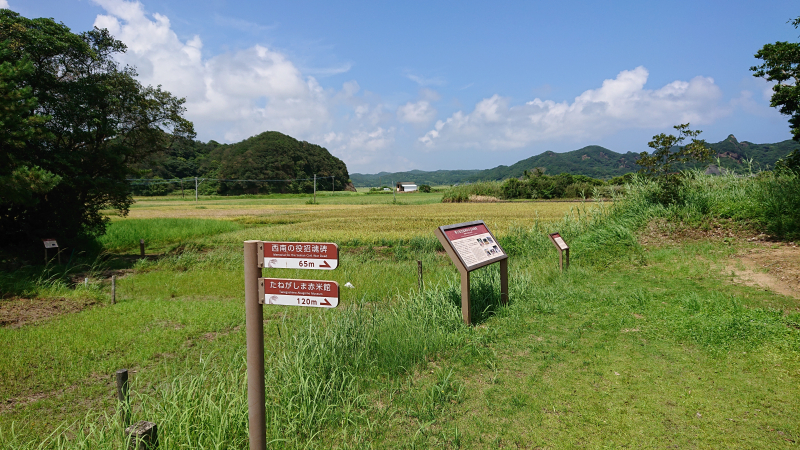 DSC_0397 DSC_0397