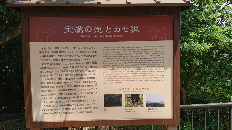 DSC_0397 DSC_0397