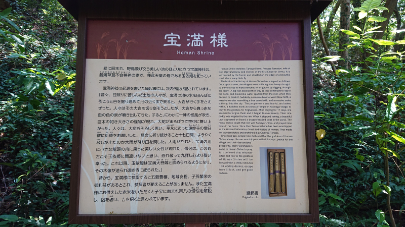 DSC_0387 DSC_0387