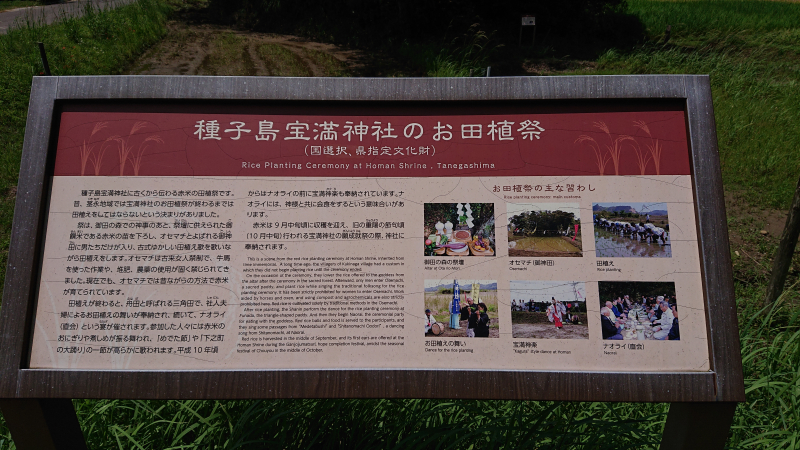 DSC_0395 DSC_0395