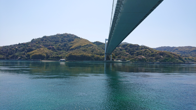 DSC_1369 DSC_1369