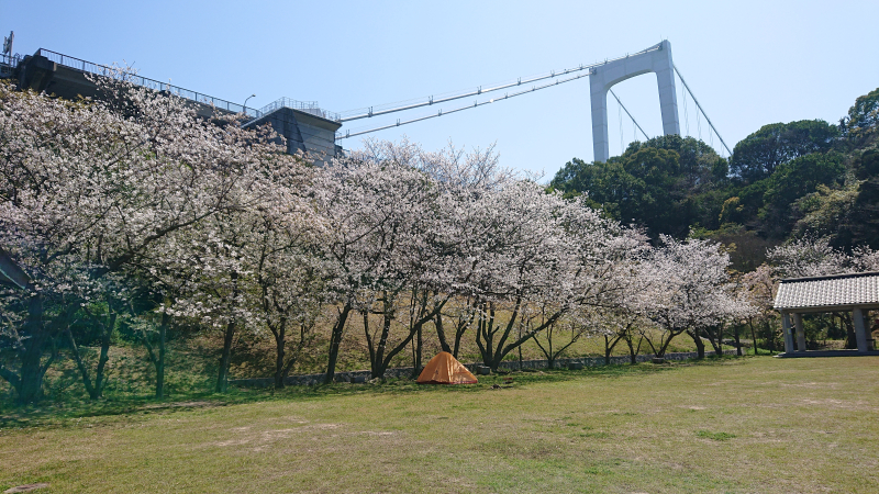 DSC_1369 DSC_1369