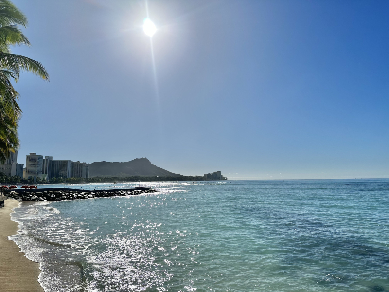 IMG_6325_L0_001-photo-full